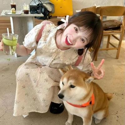 夏日沙上