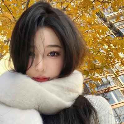 黑之契约者2:流星的双子